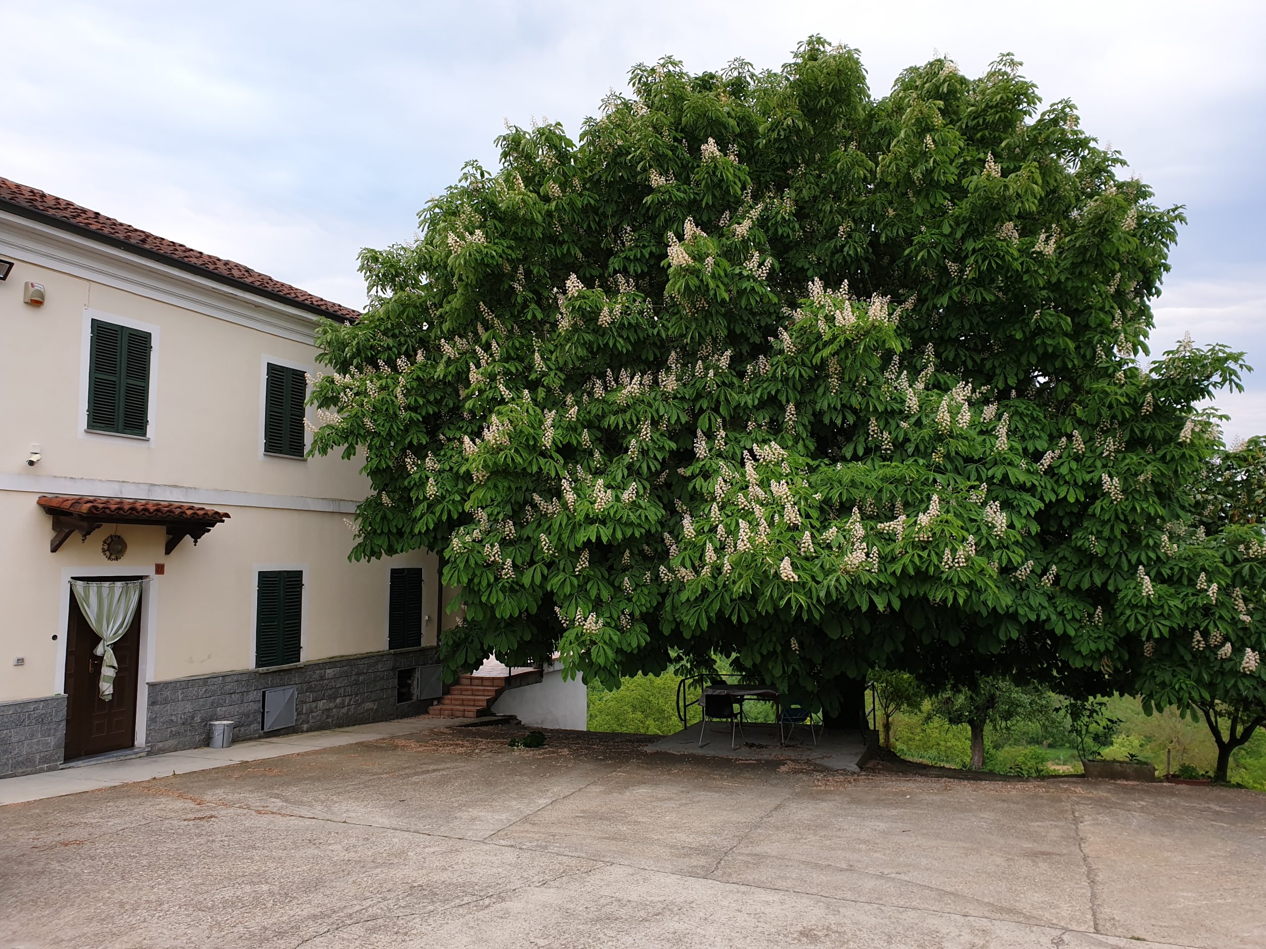 Casale Bricco delle Belle Donne Casale Bricco delle Belle Donne