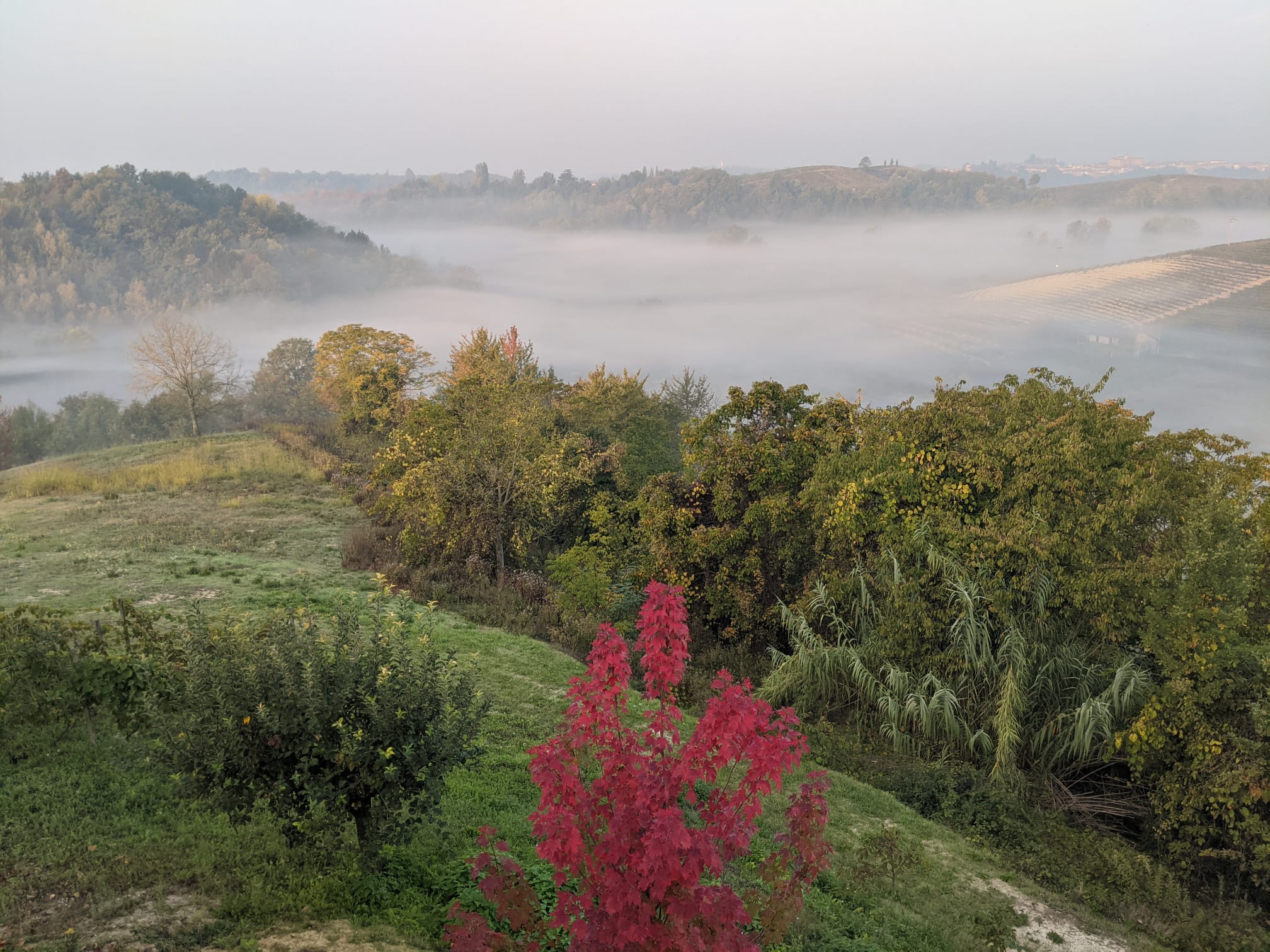 Panorama Castagnole Monferrato Panorama Castagnole Monferrato